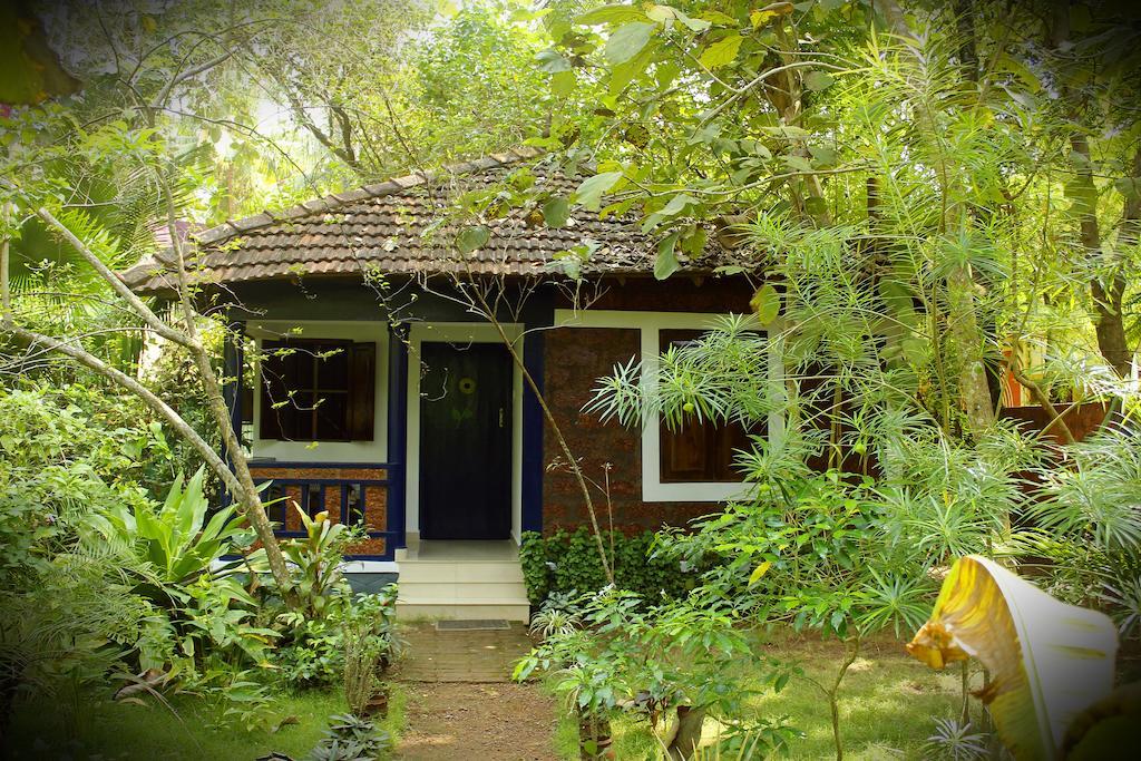 Jickys Nest Ξενοδοχείο Varkala Δωμάτιο φωτογραφία