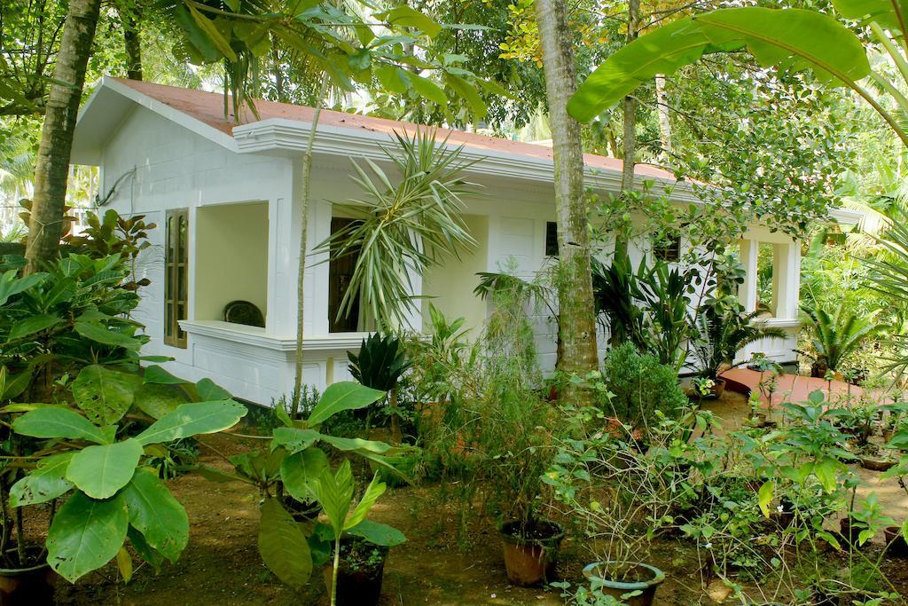Jickys Nest Ξενοδοχείο Varkala Δωμάτιο φωτογραφία